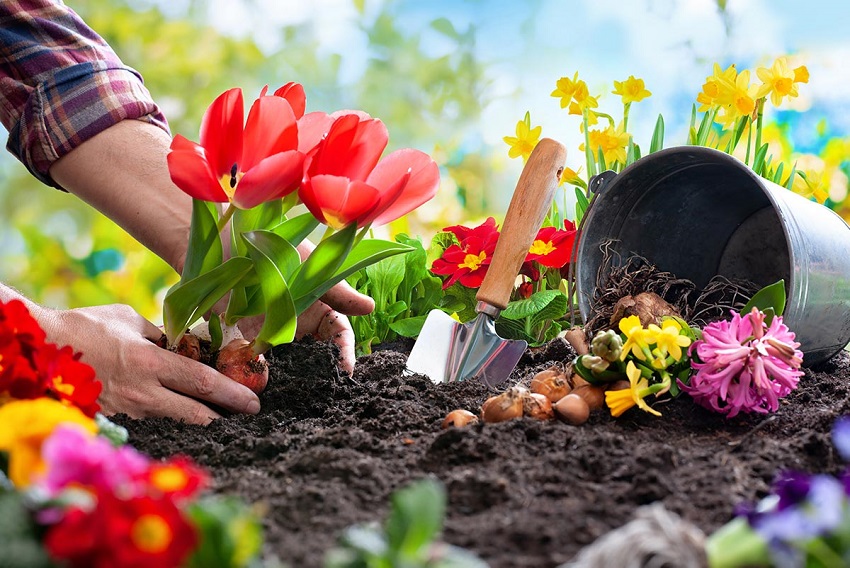 Preparing Your Garden for Spring Planted Bulbs