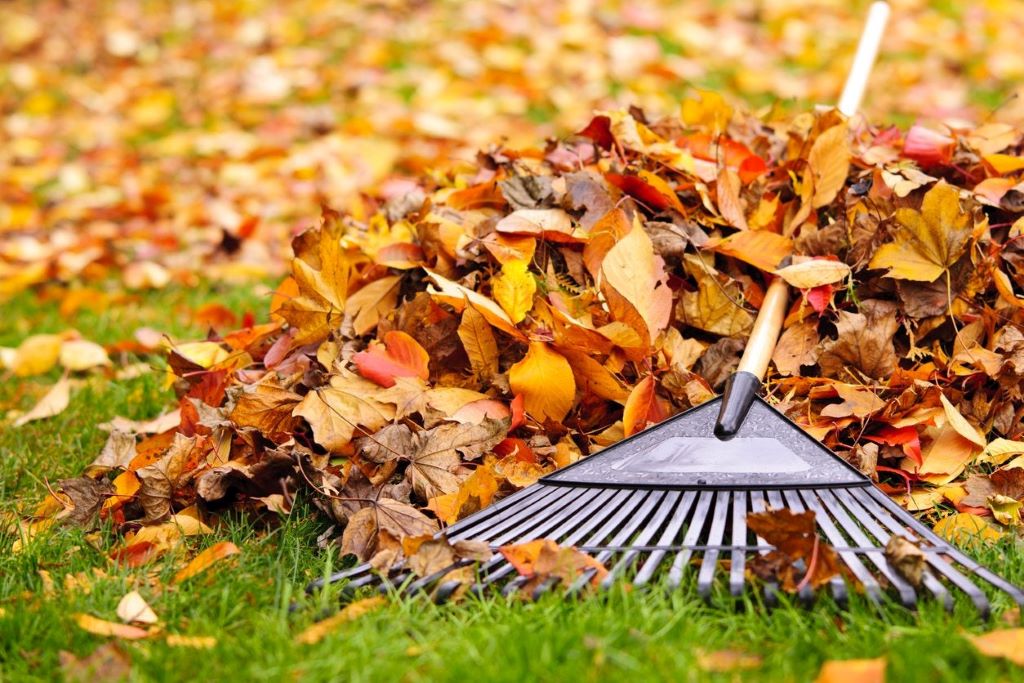 Spreading Sand: Small Garden Rake