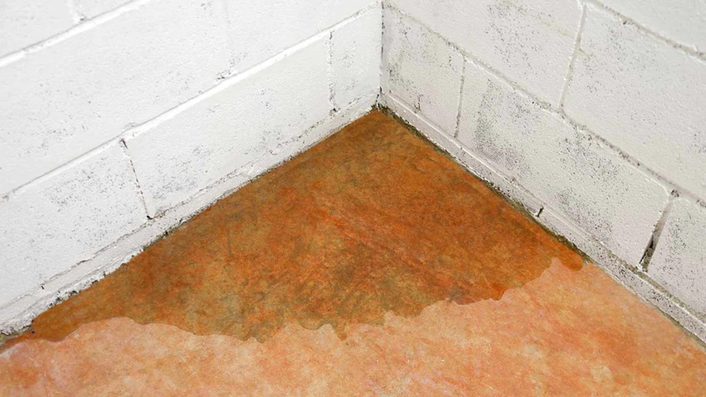 What To Do About Water Coming Through the Floor