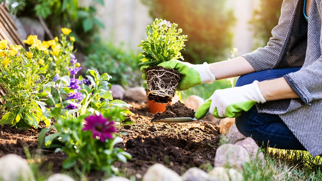 Unearthing Secrets: 10 Little-Known Gardening Tips You Must Know