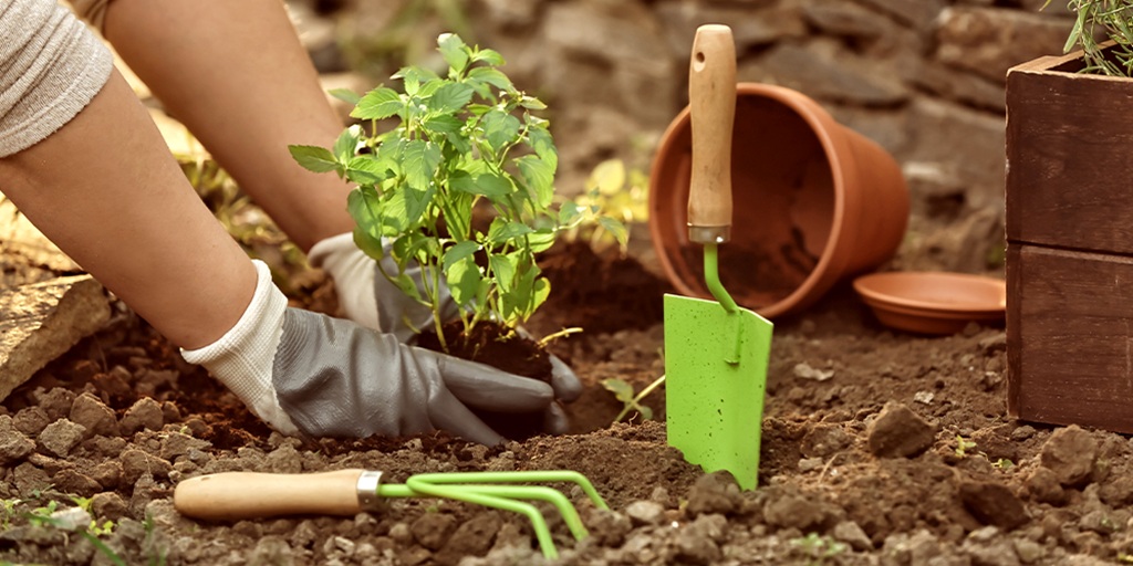 Gardening Tips Reviews: What Gardeners Are Saying