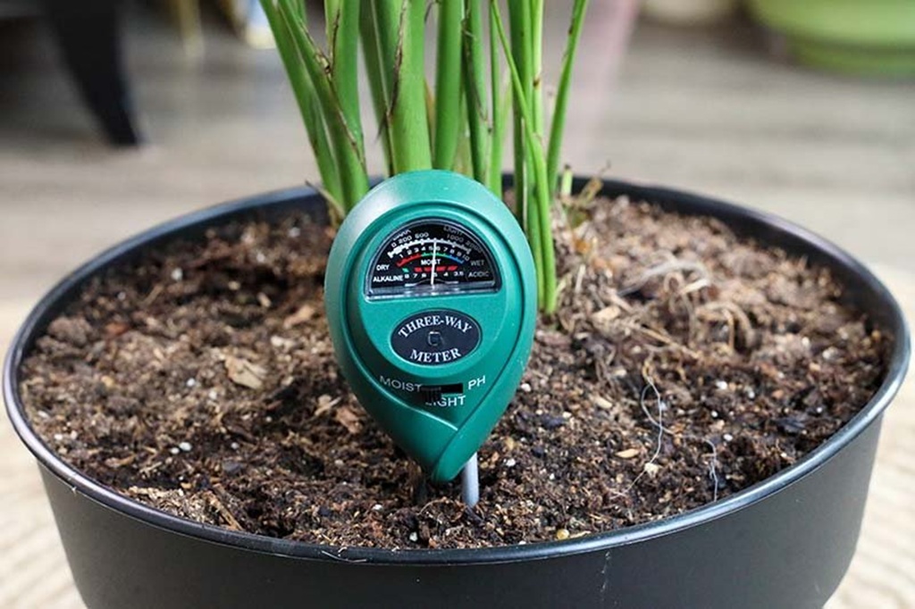 Unearthing the Secrets to a Thriving Garden: Your Guide to Moisture and pH Meters