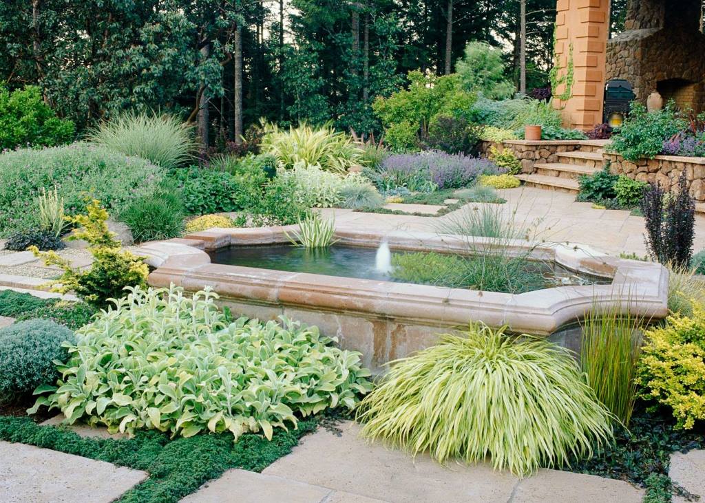 Pick the Best Drought-Tolerant Plants